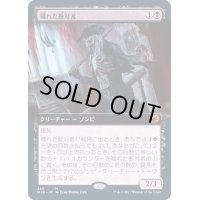 (FOIL)(フルアート)穢れた敵対者/Tainted Adversary《日本語》【MID】
