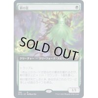 (FOIL)(フルアート)柳の霊/Willow Geist《日本語》【MID】