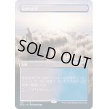 [EX](FOIL)(フルアート)さびれた浜/Deserted Beach《日本語》【MID】