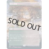 (FOIL)(フルアート)草茂る農地/Overgrown Farmland《日本語》【MID】
