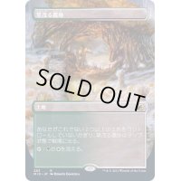 (FOIL)(フルアート)草茂る農地/Overgrown Farmland《日本語》【MID】