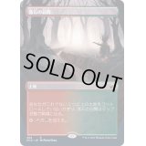 (FOIL)(フルアート)落石の谷間/Rockfall Vale《日本語》【MID】