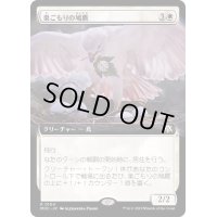 (FOIL)(フルアート)巣ごもりの鳩鷹/Nesting Dovehawk《日本語》【MOC】