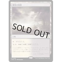 悪臭の荒野/Fetid Heath《日本語》【MOC】