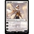 [EX+]太陽の勇者、エルズペス/Elspeth, Sun's Champion《日本語》【MOC】