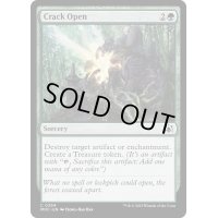 [EX+]自然開放/Crack Open《英語》【MOC】
