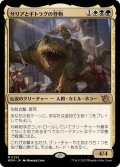 (FOIL)サリアとギトラグの怪物/Thalia and The Gitrog Monster《日本語》【MOM】