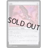 (FOIL)帆凧/Kitesail《日本語》【MOM】