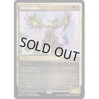 [EX+](FOIL)(0384)植物の喧嘩屋/Botanical Brawler《日本語》【MOM】