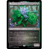 [EX+](エッチングFOIL)集めるもの、ウモーリ/Umori, the Collector《日本語》【MUL】