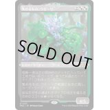 (エッチングFOIL)集めるもの、ウモーリ/Umori, the Collector《日本語》【MUL】