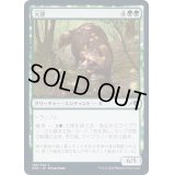 (FOIL)大狸/Greater Tanuki《日本語》【NEO】