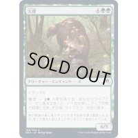 (FOIL)大狸/Greater Tanuki《日本語》【NEO】