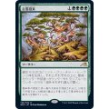 (FOIL)古霊招来/Invoke the Ancients《日本語》【NEO】