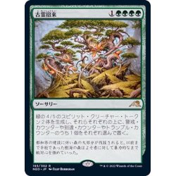 画像1: (FOIL)古霊招来/Invoke the Ancients《日本語》【NEO】