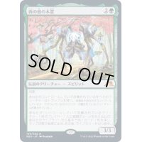 [EX](FOIL)西の樹の木霊/Kodama of the West Tree《日本語》【NEO】