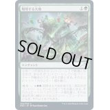(FOIL)咆哮する大地/Roaring Earth《日本語》【NEO】