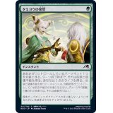 タミヨウの保管/Tamiyo's Safekeeping《日本語》【NEO】
