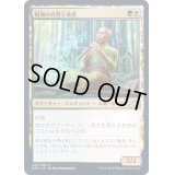 (FOIL)樹海の自然主義者/Jukai Naturalist《日本語》【NEO】