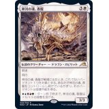 神河の魂、香醍/Kyodai, Soul of Kamigawa《日本語》【NEO】