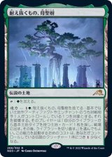 [EX]耐え抜くもの、母聖樹/Boseiju, Who Endures《日本語》【NEO】