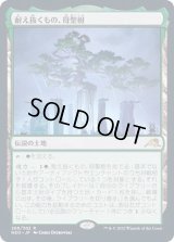 [EX+](FOIL)耐え抜くもの、母聖樹/Boseiju, Who Endures《日本語》【NEO】