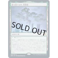 [EX+](FOIL)耐え抜くもの、母聖樹/Boseiju, Who Endures《日本語》【NEO】