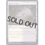 (FOIL)磨かれたやせ地/Scoured Barrens《日本語》【NEO】