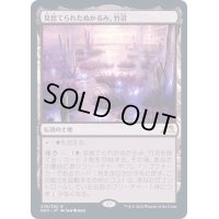 [EX](FOIL)見捨てられたぬかるみ、竹沼/Takenuma, Abandoned Mire《日本語》【NEO】