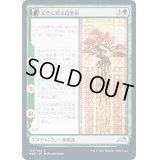 (FOIL)天空に到る母聖樹/Boseiju Reaches Skyward《日本語》【NEO】