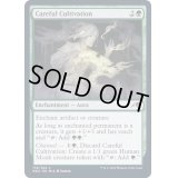 (FOIL)入念な栽培/Careful Cultivation《英語》【NEO】