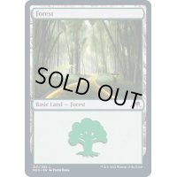 (291)森/Forest《英語》【NEO】