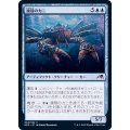 鏡殻のカニ/Mirrorshell Crab《日本語》【NEO】
