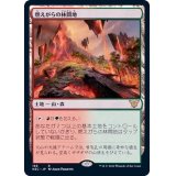 燃えがらの林間地/Cinder Glade《日本語》【NEC】