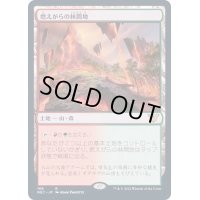 [EX+]燃えがらの林間地/Cinder Glade《日本語》【NEC】