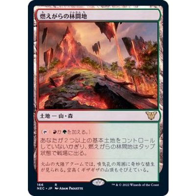 燃えがらの林間地/Cinder Glade《日本語》【NEC】