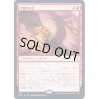 変化する影/Shifting Shadow《日本語》【NEC】