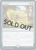 熊の陰影/Bear Umbra《日本語》【NEC】