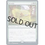 熊の陰影/Bear Umbra《日本語》【NEC】