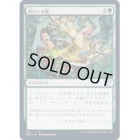 [EX+]内にいる獣/Beast Within《日本語》【NEC】