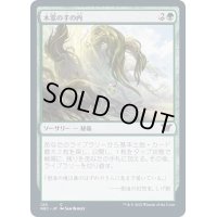 木霊の手の内/Kodama's Reach《日本語》【NEC】