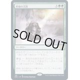 [EX+]巫師の天啓/Shamanic Revelation《日本語》【NEC】