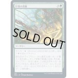 [EX+]巨森の波動/Vastwood Surge《日本語》【NEC】