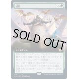 (フルアート)絹鎧/Silkguard《日本語》【NEC】