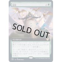 (フルアート)絹鎧/Silkguard《日本語》【NEC】