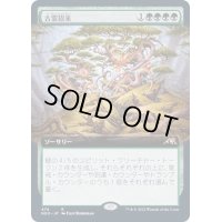 [EX+](FOIL)(フルアート)古霊招来/Invoke the Ancients《日本語》【NEO】