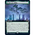 (フルアート)(501)耐え抜くもの、母聖樹/Boseiju, Who Endures《日本語》【NEO】