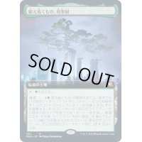 [EX+](フルアート)(501)耐え抜くもの、母聖樹/Boseiju, Who Endures《日本語》【NEO】