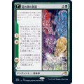 (FOIL)(ショーケース枠)龍の神の再誕/The Dragon-Kami Reborn※ドラフト・セットブースター産《日本語》【NEO】