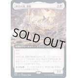 (FOIL)(フルアート)(438)神河の魂、香醍/Kyodai, Soul of Kamigawa《日本語》【NEO】